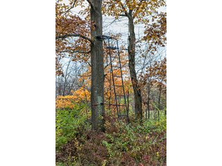 Property photo 17 - 23 Acre Mini FarmOffered in 3 Tractsor CombinationsFarm AuctionPersonal Property & Real Estate